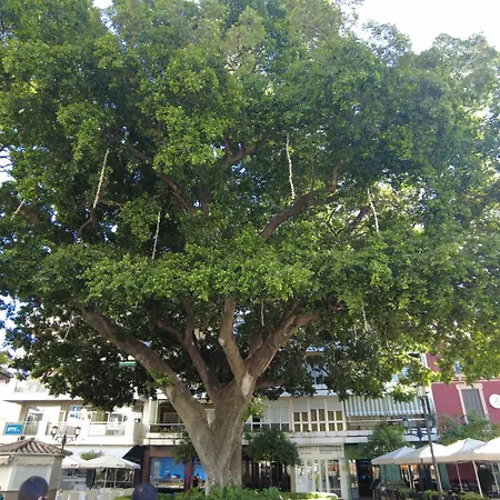 Lägenhet Center Sweet&beach Fuengirola