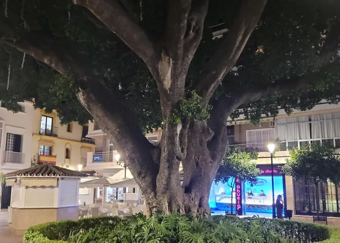 Apartment Center Sweet&beach