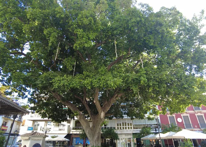 Apartmán Center Sweet&beach Fuengirola